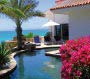 Villa with swimming pool and palm tree