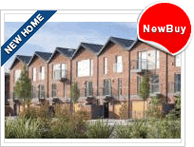 New Home - New Buy