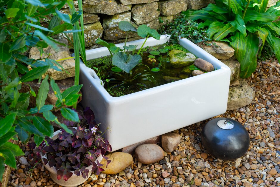Wildlife pond in a repurposed sink