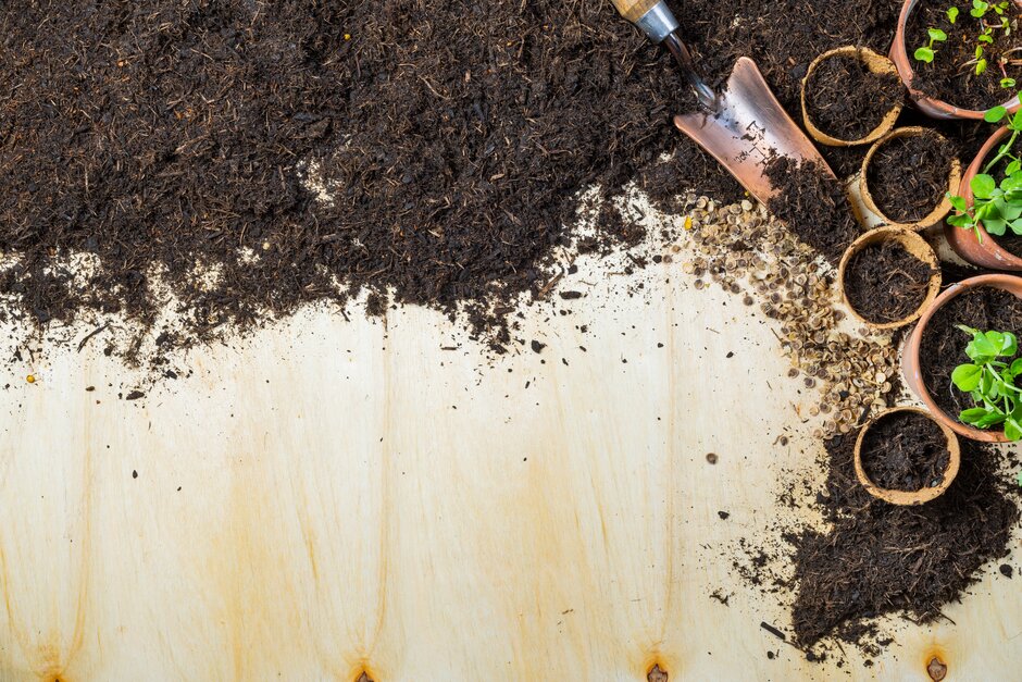 Peat free compost and pots
