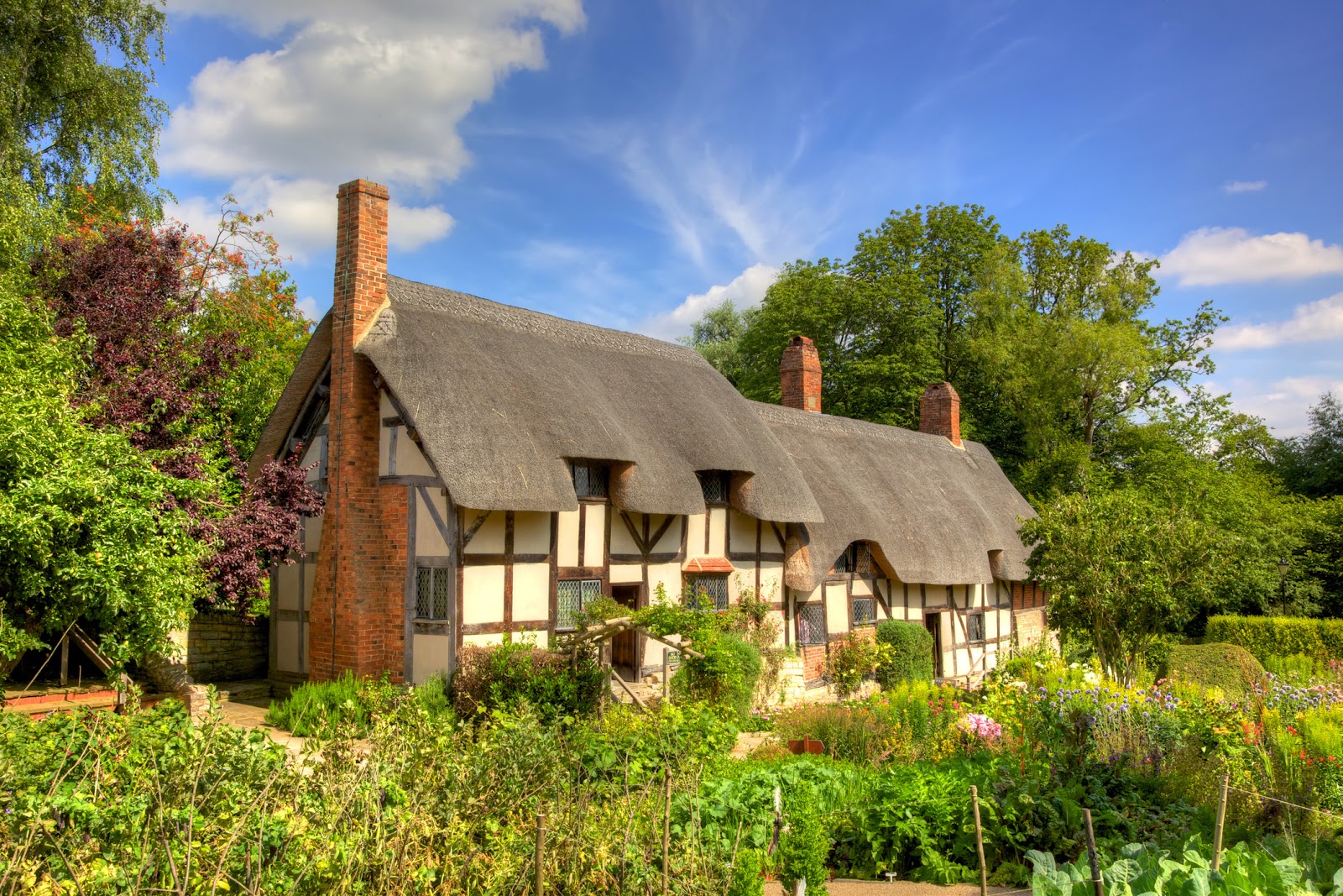 Longstraw - Thatch Advice Centre