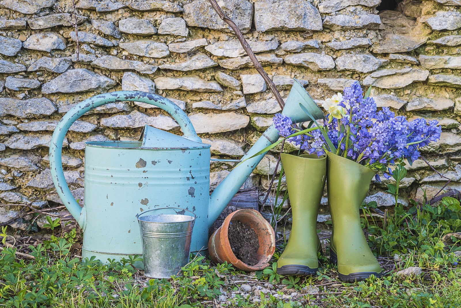 How To Make Your Garden Look Nice On A Budget Rightmove