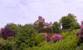 Perched on top of the hill, the castle has unparalleled views