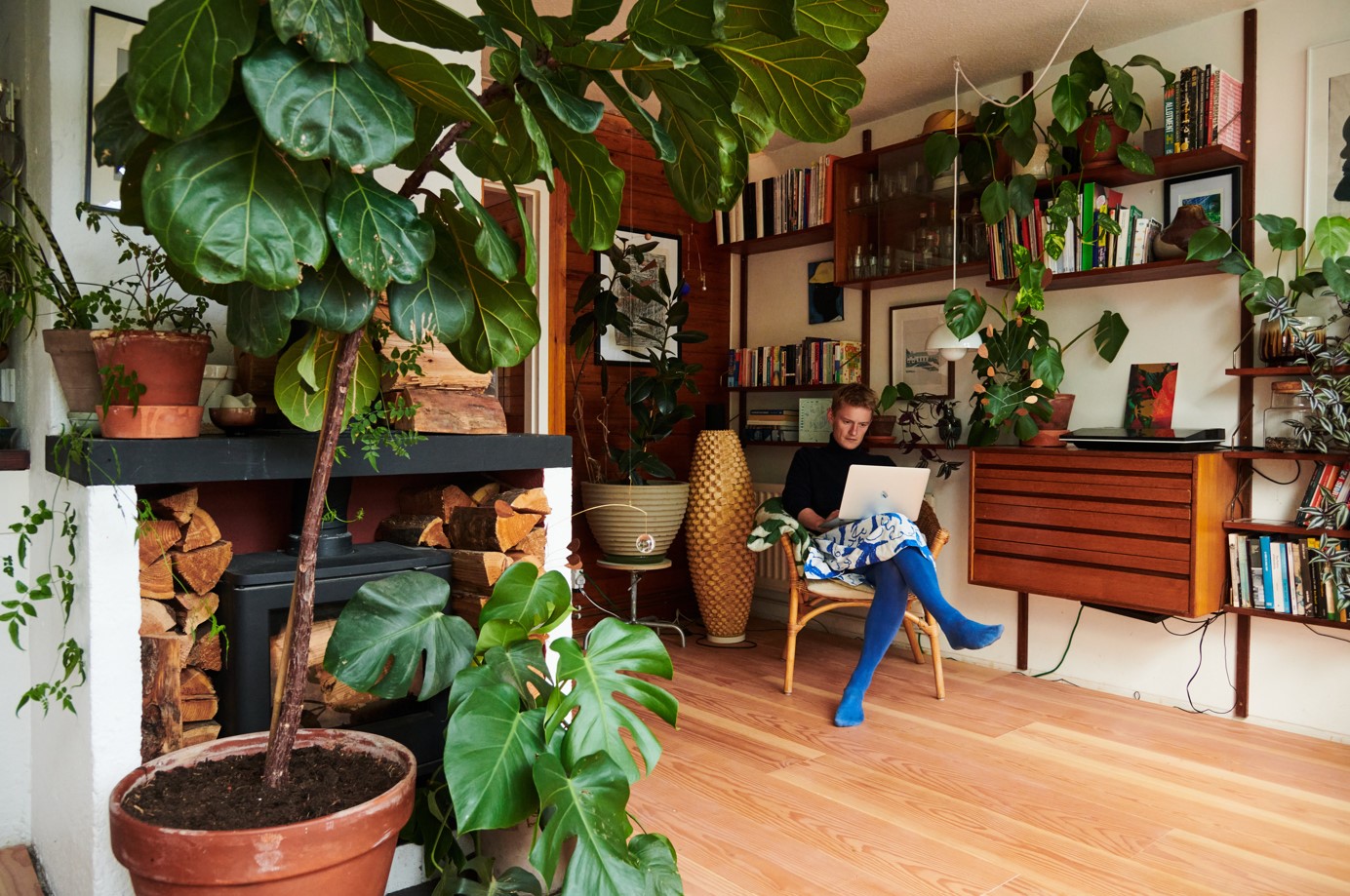 A fireplace surrounded by plants and a person sat at a laptop in a chair