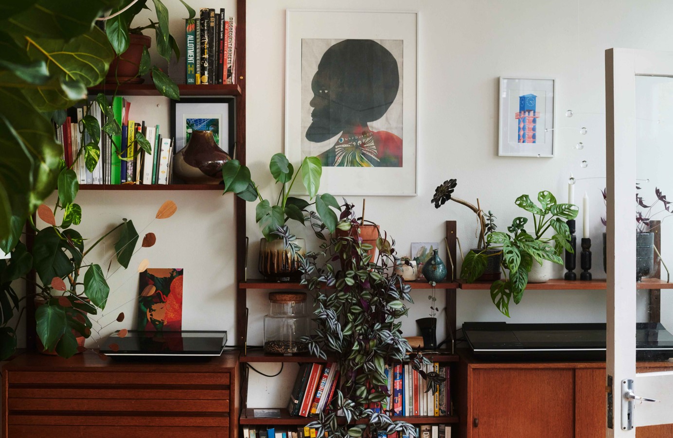 Shelving filled with books and plants