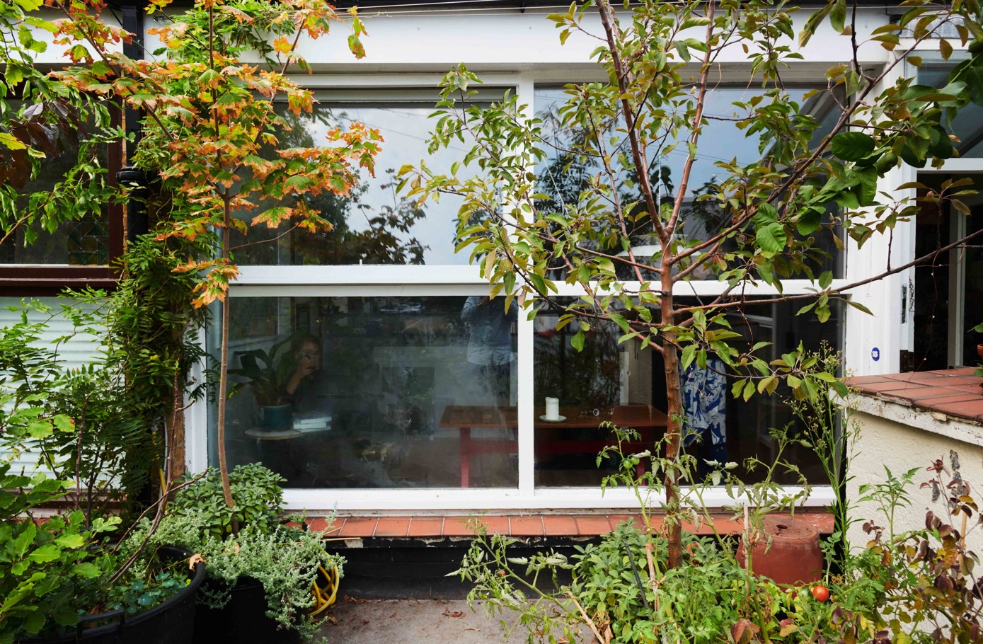 Plants outside large front windows of a flat