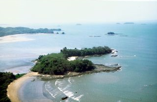 island_41