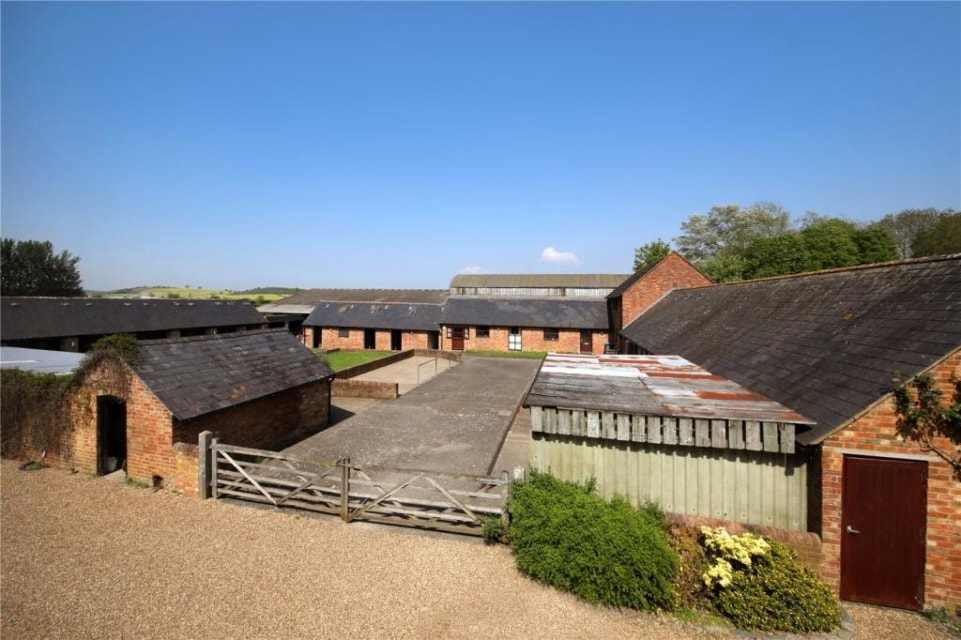 Cheltenham Festival special 5 horse homes