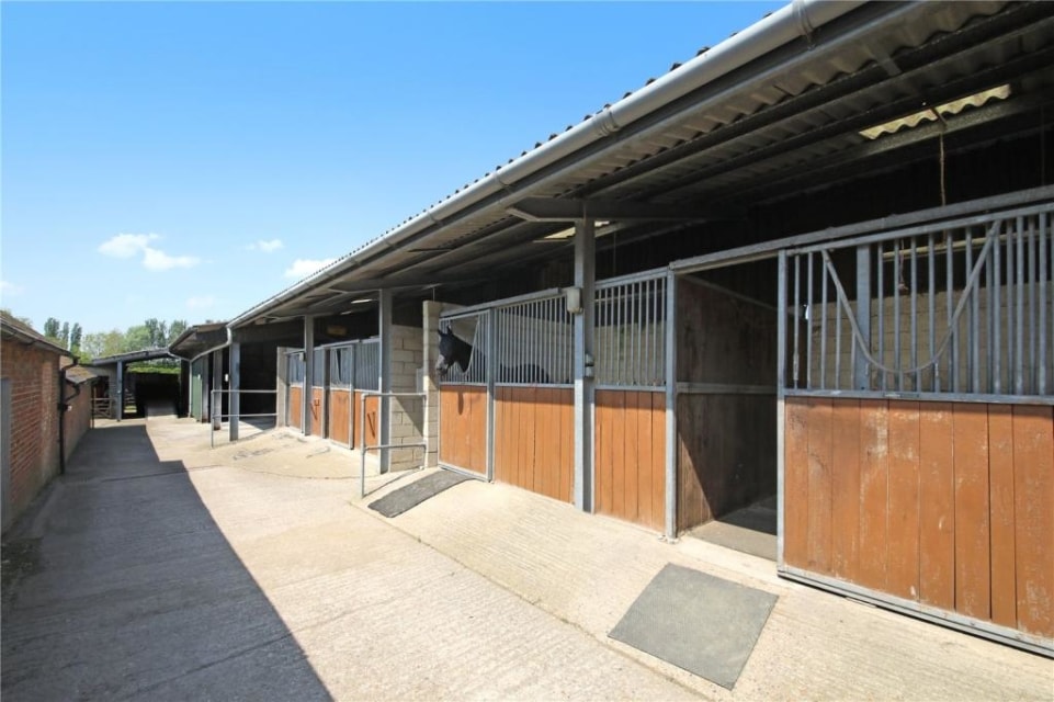 Cheltenham Festival special 5 horse homes