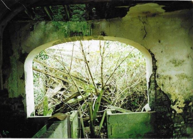 Before image
