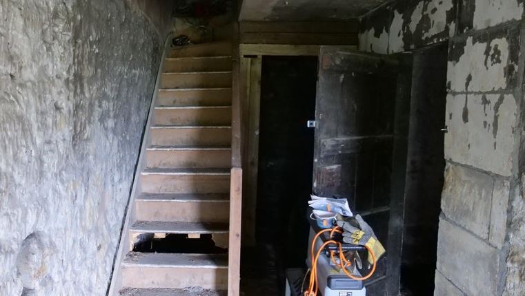 Before image