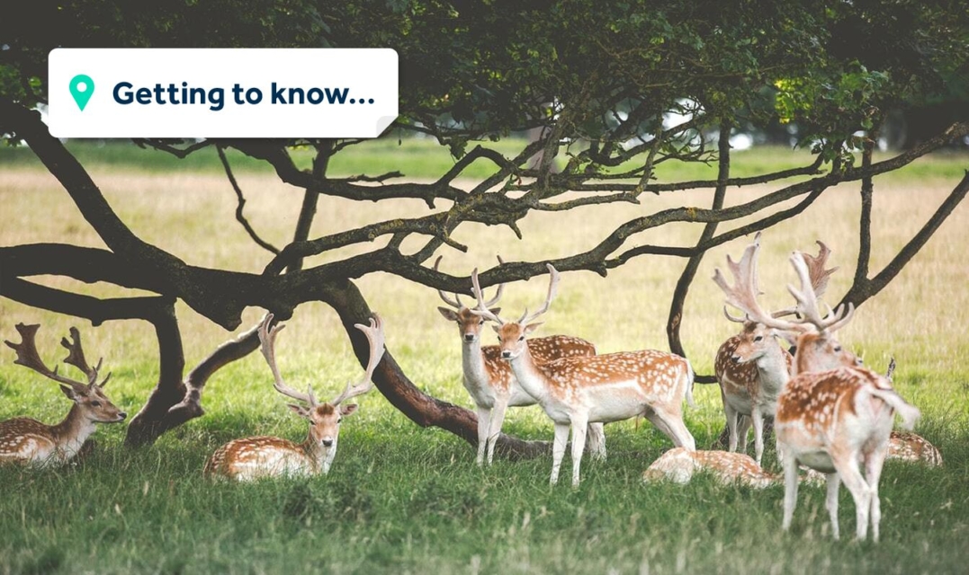 Getting to know... Bakewell