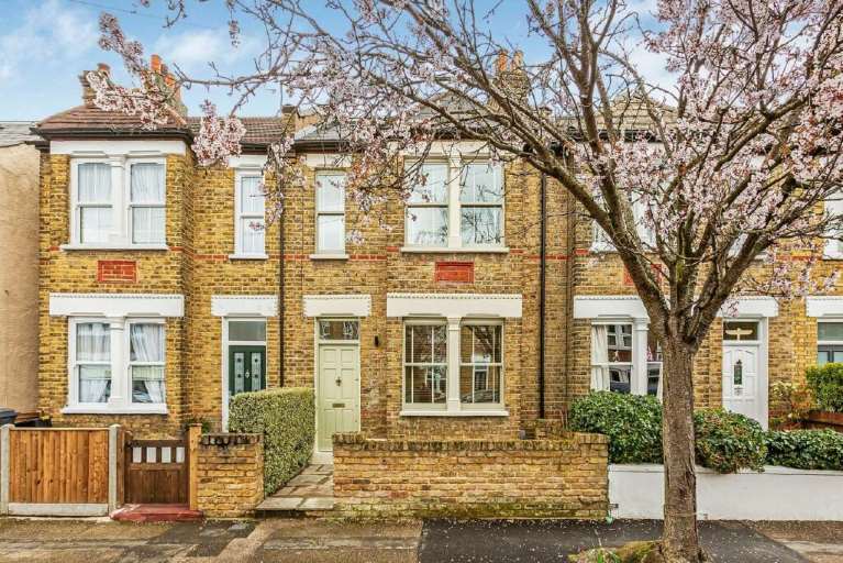 Terraced houses and a cherry blossom tree