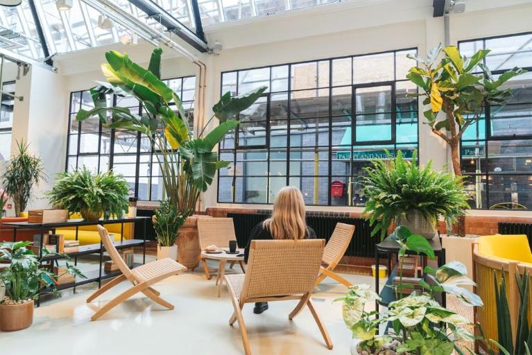 A person sat on a chair, large windows, house plants