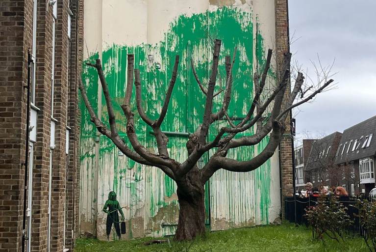 A tree and a green mural on the side of a building