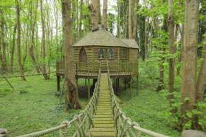 Homes for sale with magical treehouses