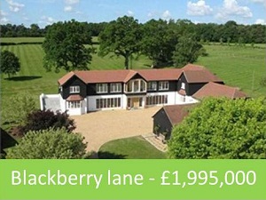 Blackberry lane