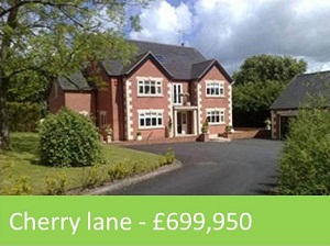 Cherry lane