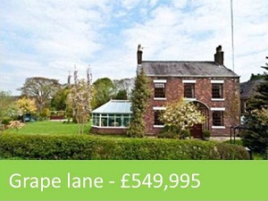 Grape lane