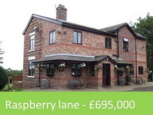 Raspberry lane