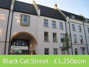 black cat street