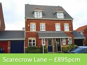 scarecrow lane