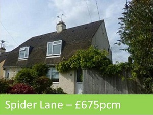 spider lane