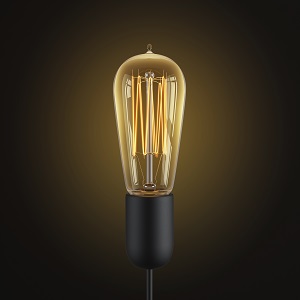retro edison light bulb