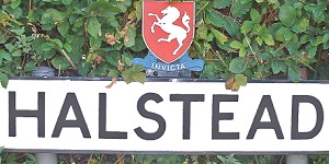 Halstead