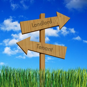 tenant