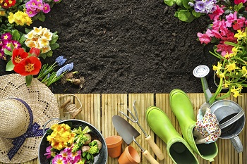 Gardening 