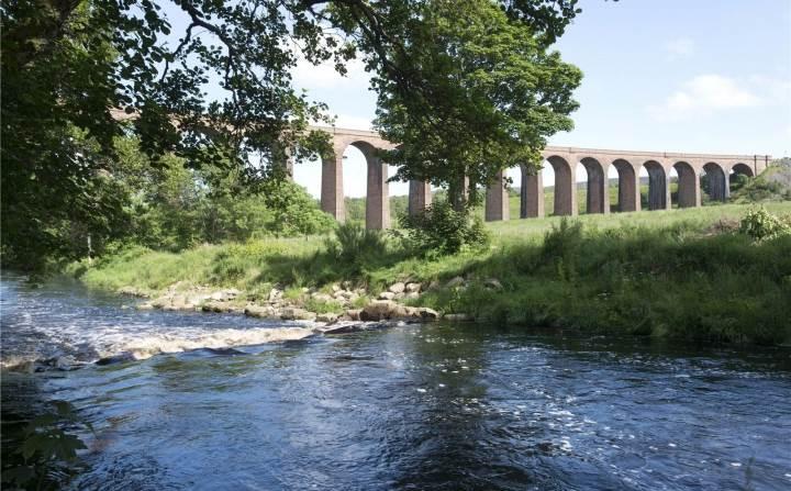 scotblog10