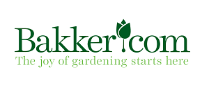 Bakker