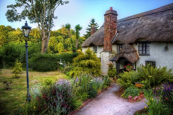 garden