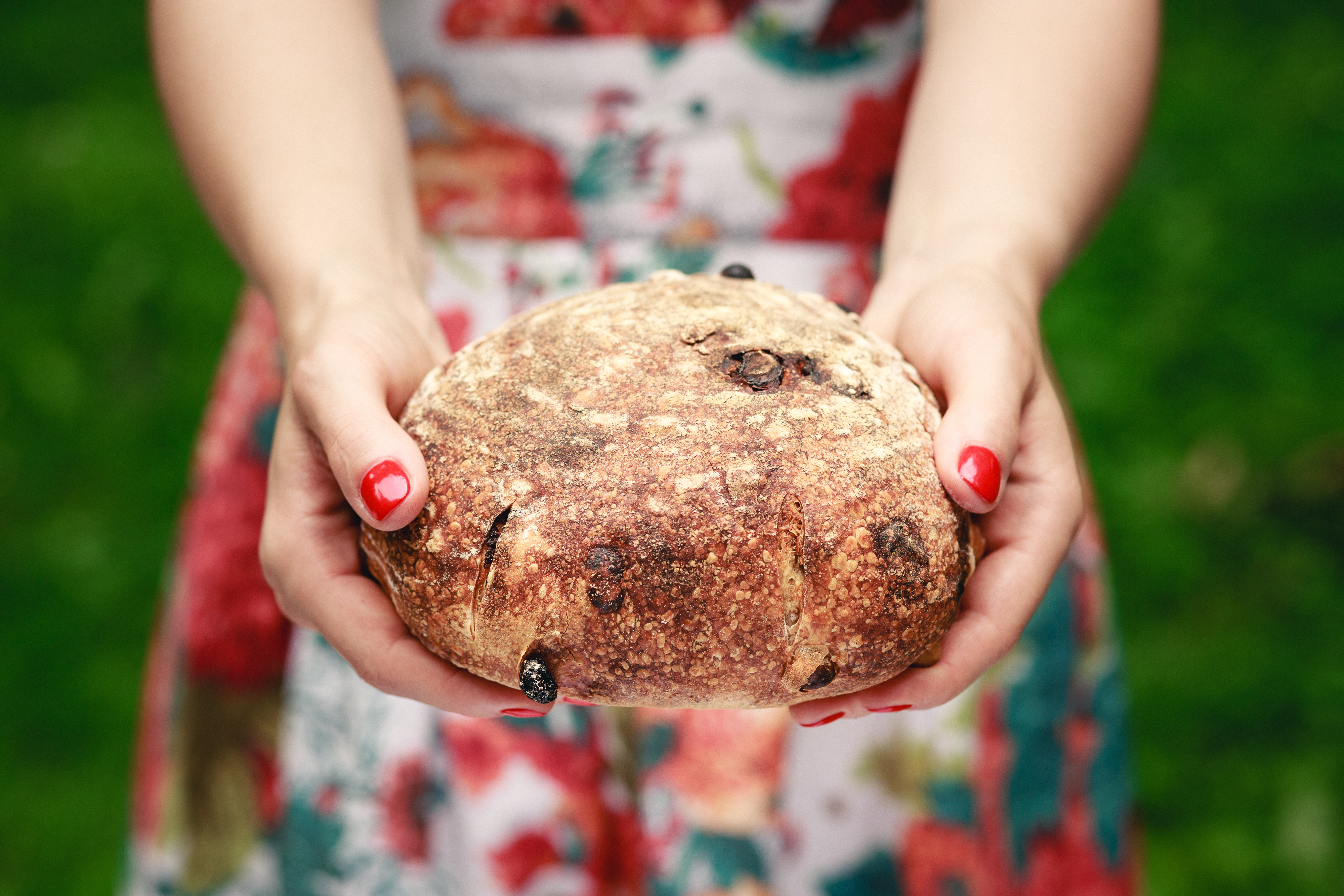 Close up of hands holding rustic bread. Photo with shallow depth of field.