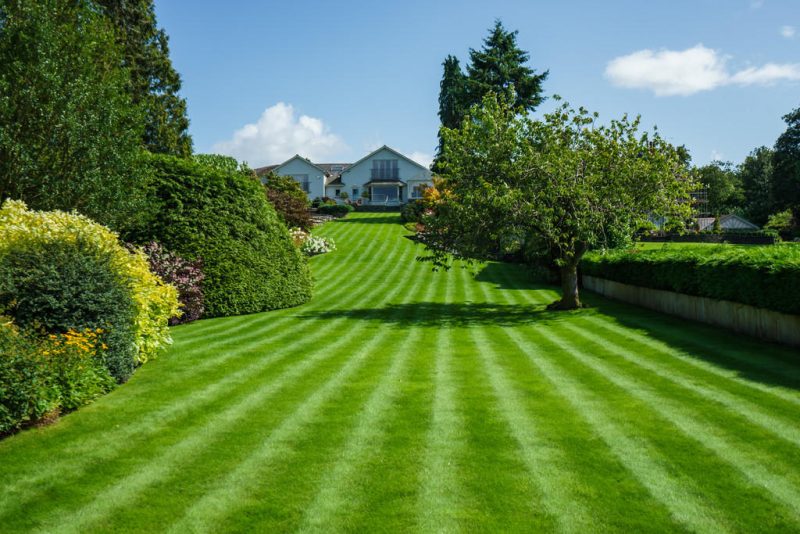 Flats drop out of most sought after property types as home-hunters seek space