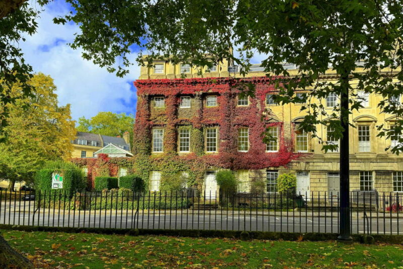 Rightmove reaction to Bank Rate cut