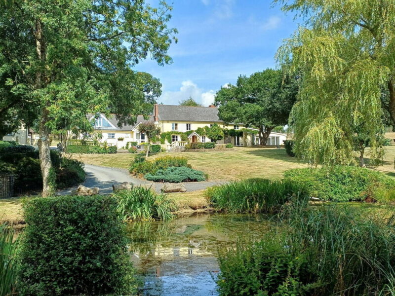 Rightmove’s most viewed homes on Boxing Day